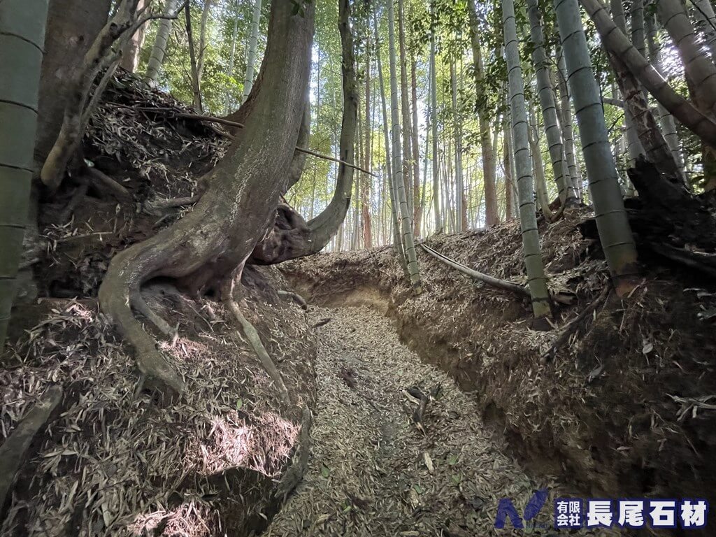 墓地移転